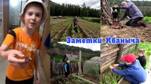 Трудовой десант и холодное лето.