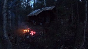 Жизнь и приключения таежного бродяги # 2.2. Эпизоды. Май 2026