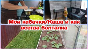 Я как всегда хочу поговорить/Мои кабачки  Часть 1
