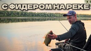 Рыбалка 2026. Фидер на реке. Поклёвки на фидер