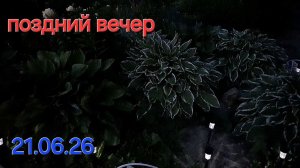Ещё один день позади...
