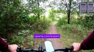 Хотите поговорить о своем будущем