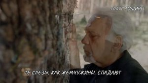Слёзы отца...