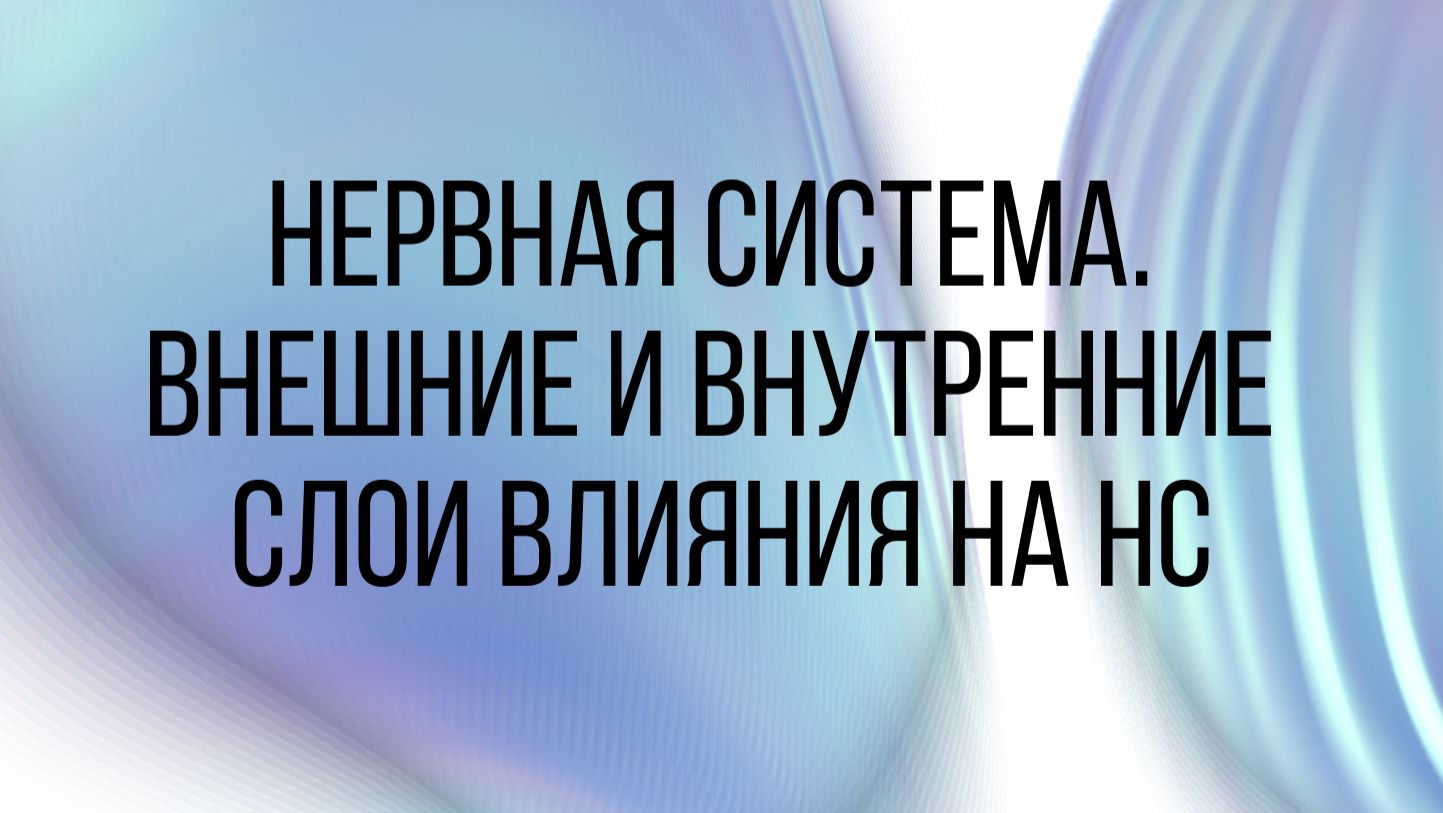 Нервная система. Внешние и внутренние слои влияния на НС смотреть онлайн