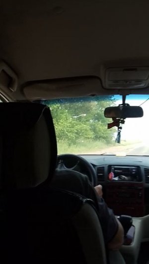 Поехали в гости!