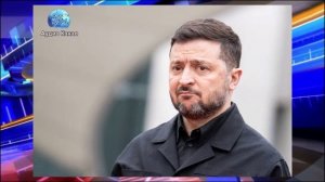 Стало известно, как простые поляки относятся к Зеленскому