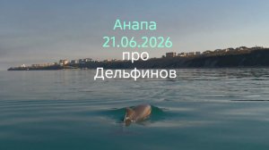 Анапа 21.06.2026 про Дельфинов