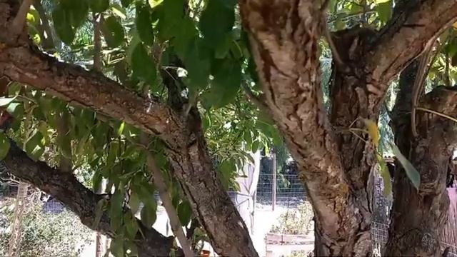 моя деревенская жизнь между вареньем и творчеством смотреть онлайн