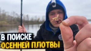 ОСЕННЯЯ РЫБАЛКА НА ФИДЕР.  БРАКОНЬЕРЫ . ПРОГУЛКА ПО ЛЕСУ.