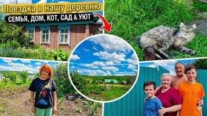 Поездка в нашу деревню/Щавелевый суп-лучшее блюдо в первые дни лета