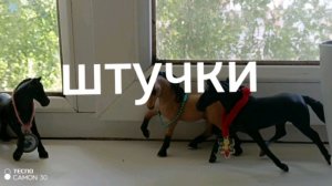 штучки