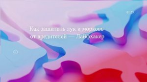 Как защитить лук и морковь от вредителей — Лайфхакер
