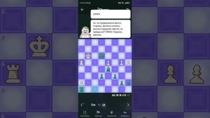 Шахматы 3