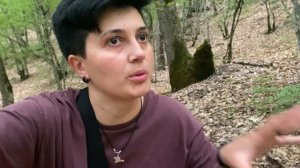 Собираю первые лисички этого сезона