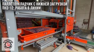 Паллетоукладчик с нижней загрузкой ПНЗ-12: Работа в линии