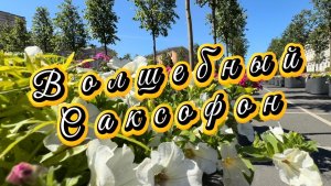 Волшебный  саксофон, удивительно красивая музыка для души