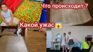Семья из Мариуполя. Нашествие мошек. Новая юбка #семьяизмариуполя