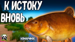 Вновь вернулся к истоку и вот что из этого вышло #рр4