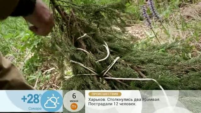 Снего - болотоступы