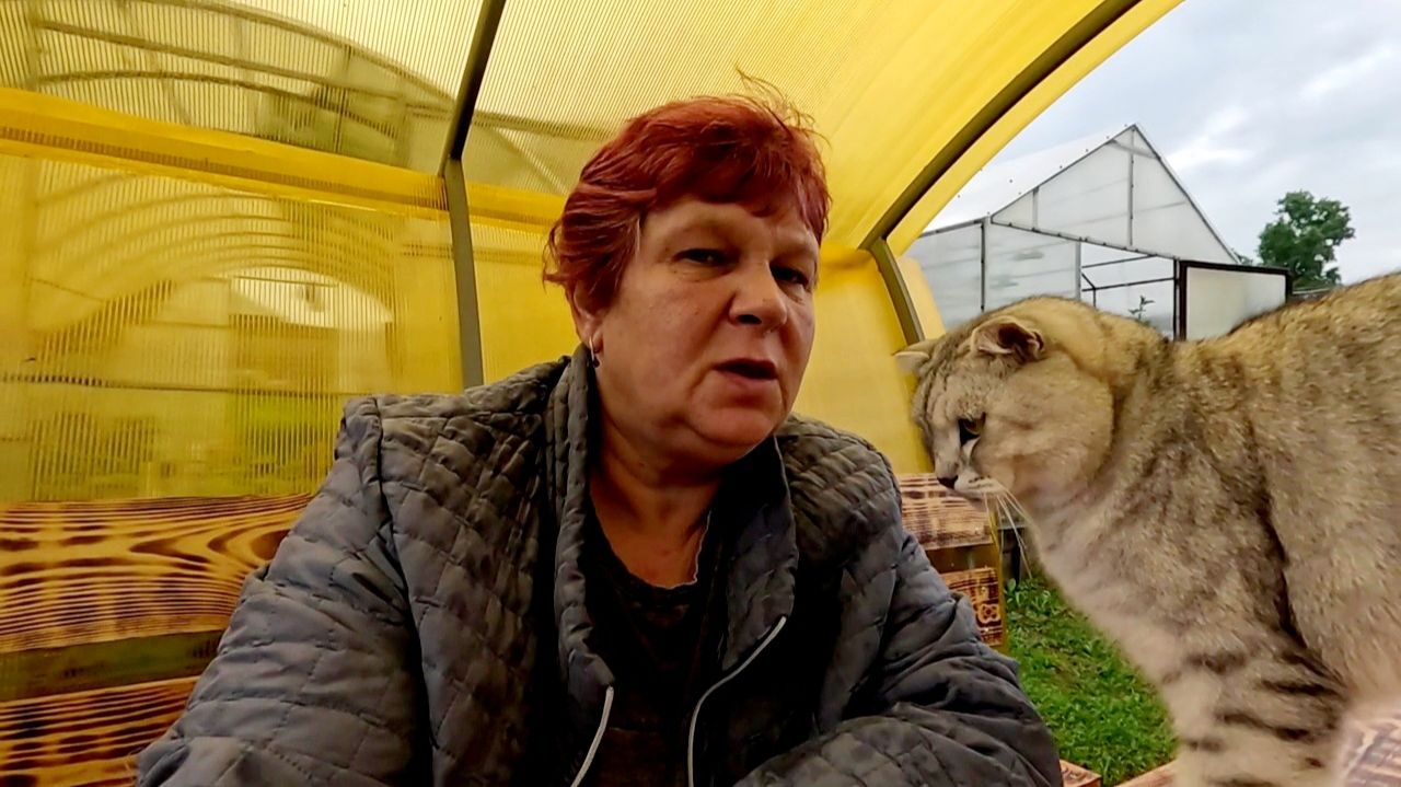 Вспомнила про палочки... Если не утону в грядках..