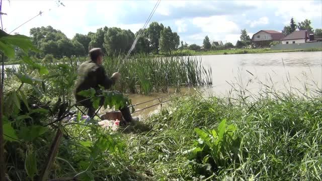 Ранним утром забросил я поплавки под камыши! Рыбалка на поплавок. Необычные итоги (2021г) смотреть онлайн