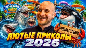 🔥😂 ТОП 5 КУРЬЁЗНЫХ ВИДЕО ОТ АЛЬБЕРТОВИЧА 2026!! 🤣  РЖАЧ! СМЕХ! ЮМОР! УГАР! 🤯 АЛЬБЕРТОВИЧ НАУЧИТ
