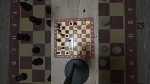 Партия в шахматы
