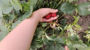 Приехалав к маме в гости//