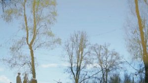 Сад Баташевых. История,природа и человек.