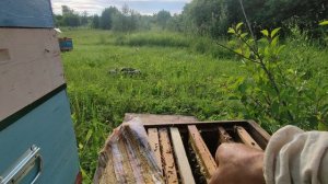 21июня. Объединение пришлось отменить