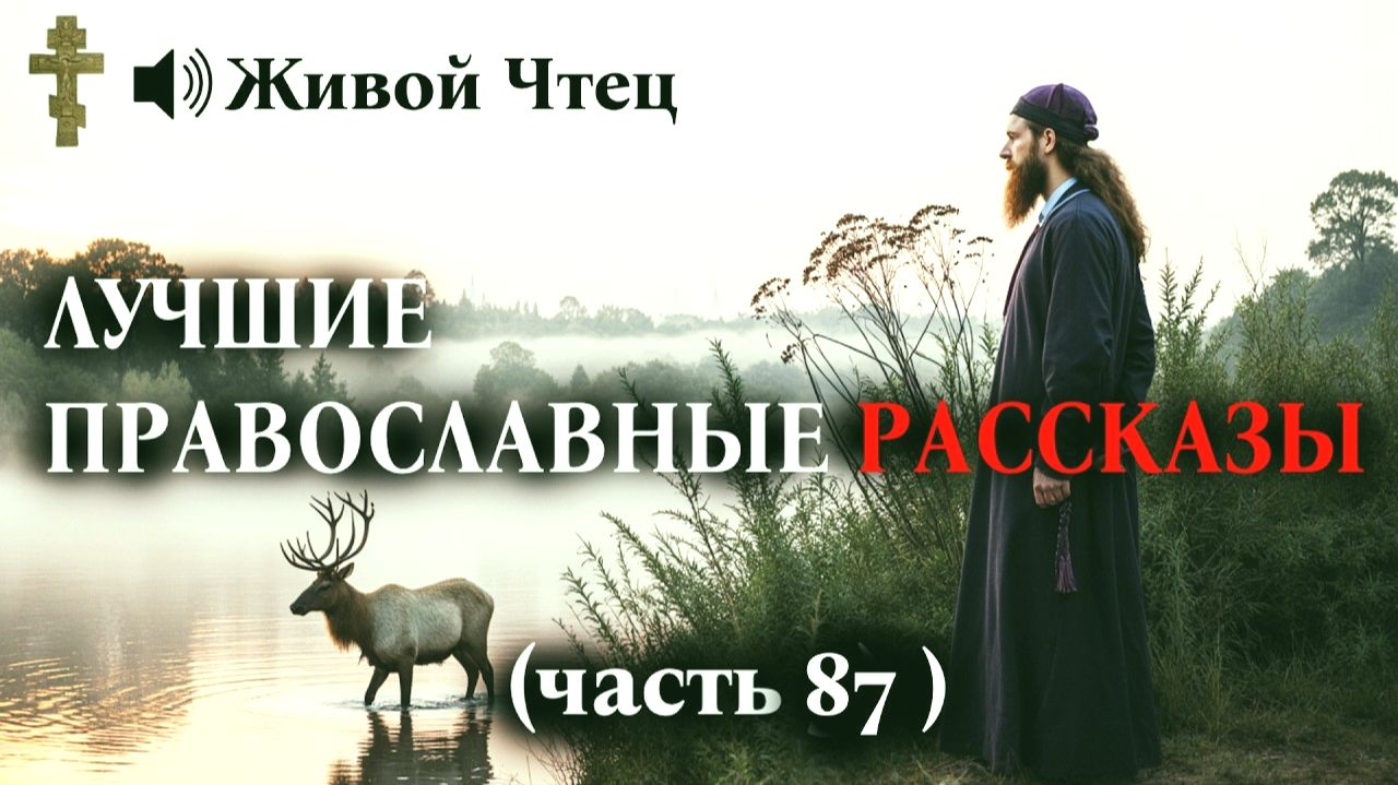 ТЫ НЕ МАТЬ ТЫ ПАЛАЧ Свекровь гнобила невестку ЛУЧШИЕ ПРАВОСЛАВНЫЕ РАССКАЗЫ часть 87 смотреть онлайн