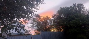 моя жизнь