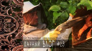 29.Первое знакомство с пчёлами и новая жизнь дачи