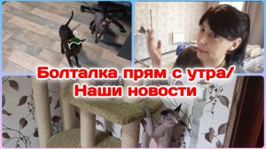 Болталка прям с утра/Новости/Вот это подарочек  Часть 1