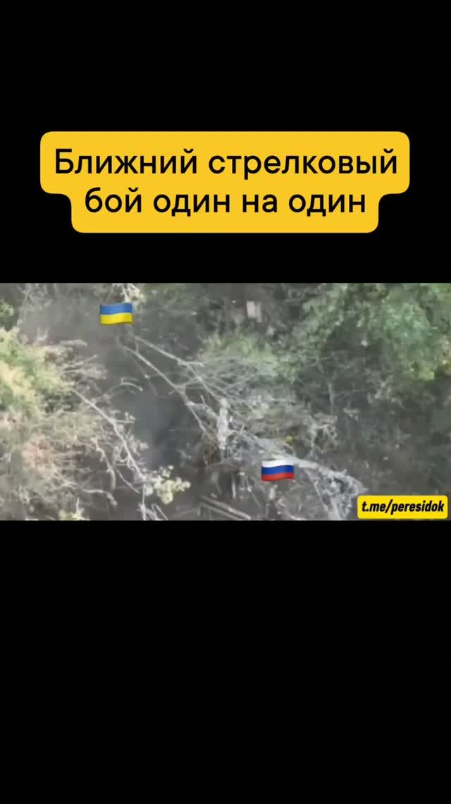 Один на один (ближний бой)