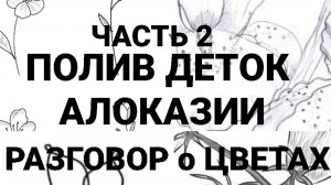 Полив и разгрвор о Цветах часть2