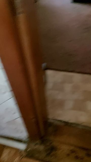 Марик и сончас🐶😊