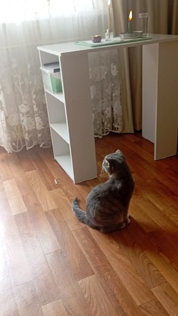 Что интересного происходит