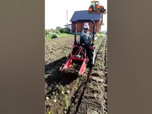 КАРТОФЕЛЕКОПАЛКА STAR MINI 800. ОТЗЫВЫ ДОВОЛЬНЫХ КЛИЕНТОВ.