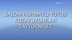 Инвертор нима?