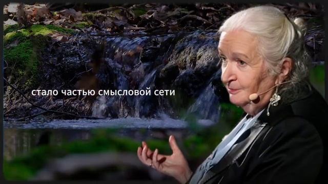 Если вы легко забываете имена, у вас есть эти 4 особенности работы мозга | Татьяна Черниговская смотреть онлайн