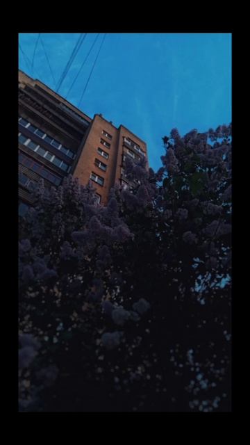 🌆🌆✨