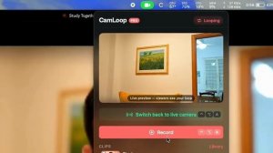 Созвоны теперь можно пережить, CamLoop — приложение для macOS, которое подменяет вашу камеру коротки