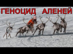 Забанил более 300 аленей:)