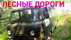 УАЗ БУХАНКА / проходимость по лесу