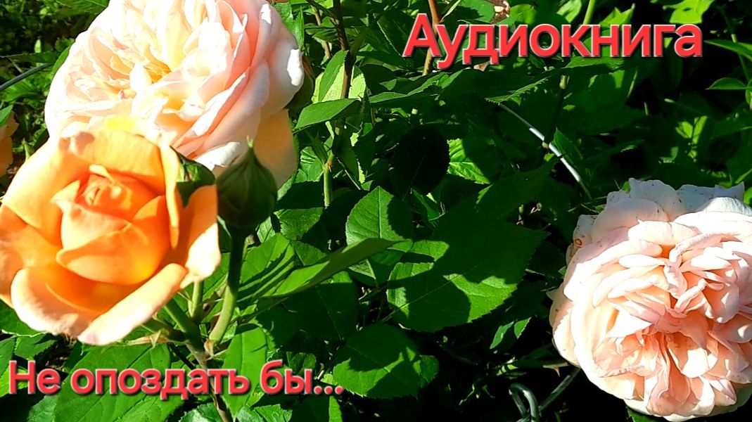 НЕ ОПОЗДАТЬ БЫ...