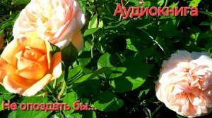 НЕ ОПОЗДАТЬ БЫ...