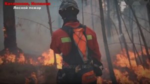 21-06-2026. ЧП❗КАТАКЛИЗМЫ❗КАТАСТРОФЫ‼️ ПРОИСШЕСТВИЯ ЗА ДЕНЬ. новости дня. СЕГОДНЯ. Россия США Китай