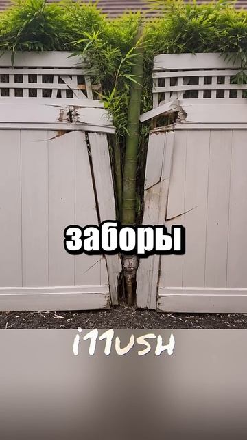 21-06-2026 смотреть онлайн