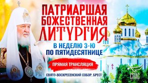 🕊Божественная литургия в Неделю 3-ю по Пятидесятнице